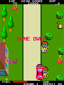 Game Play Screen Shot